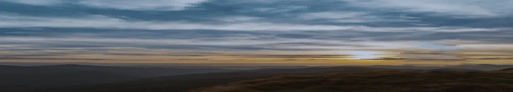 我的研究人生 (寫作之貓)的沙龍