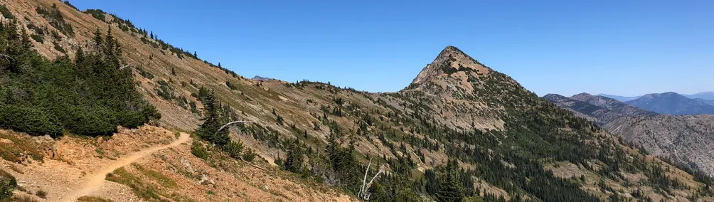 猙獰姐姐的沙龍