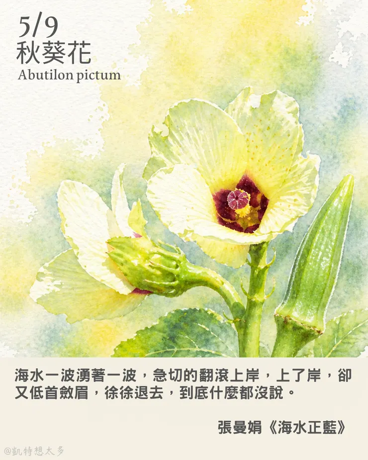 秋葵花×張曼娟《海水正藍》