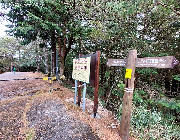 ▲台中「大雪山國家森林遊樂區」/圖片來源：Betty's Jump Diary