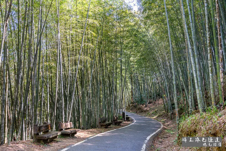 竹林茶席,瑞里茶席,瑞里茶葉,瑞里體驗,瑞里綠色隧道,綠色隧道,瑞里秘境,竹林小徑,瑞里竹林,阿里山秘境,瑞里景點,阿里山景點,嘉義景點,阿里山步道,瑞里步道