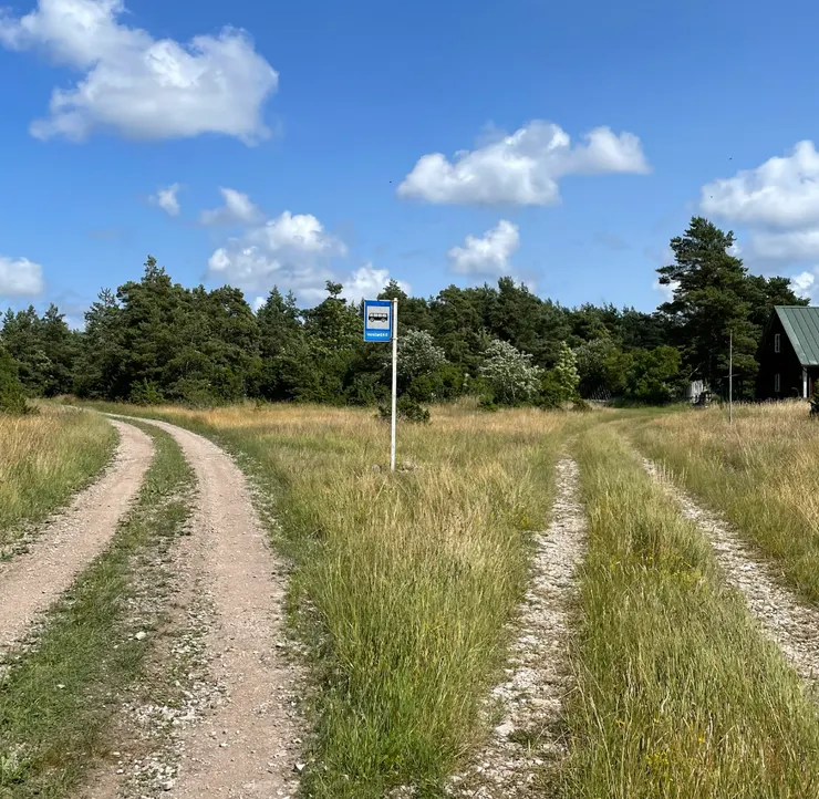 總算回到陸地上！這裡曾經有公車嗎？