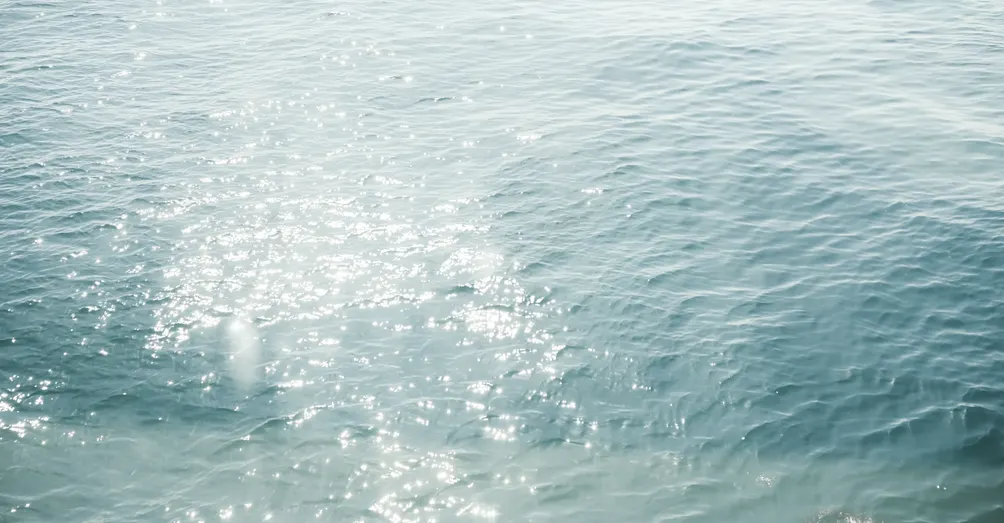 Alice艾莉絲的沙龍