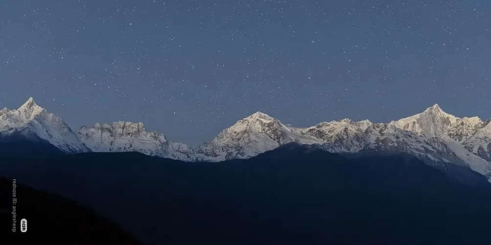 為了治療忘記意義