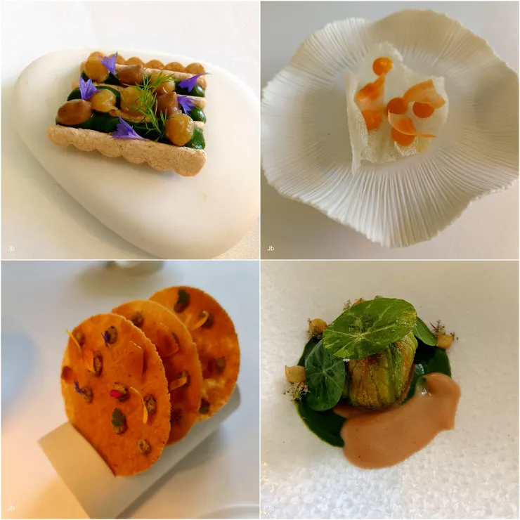 【擺盤像藝術品佐料採搭前所未聞】