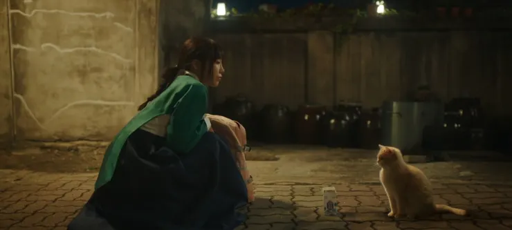 橘貓是神奇的使者