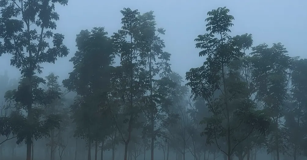 靠近心臟的宇宙