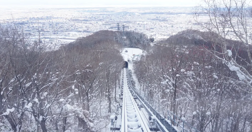 愛麗絲夢遊仙境