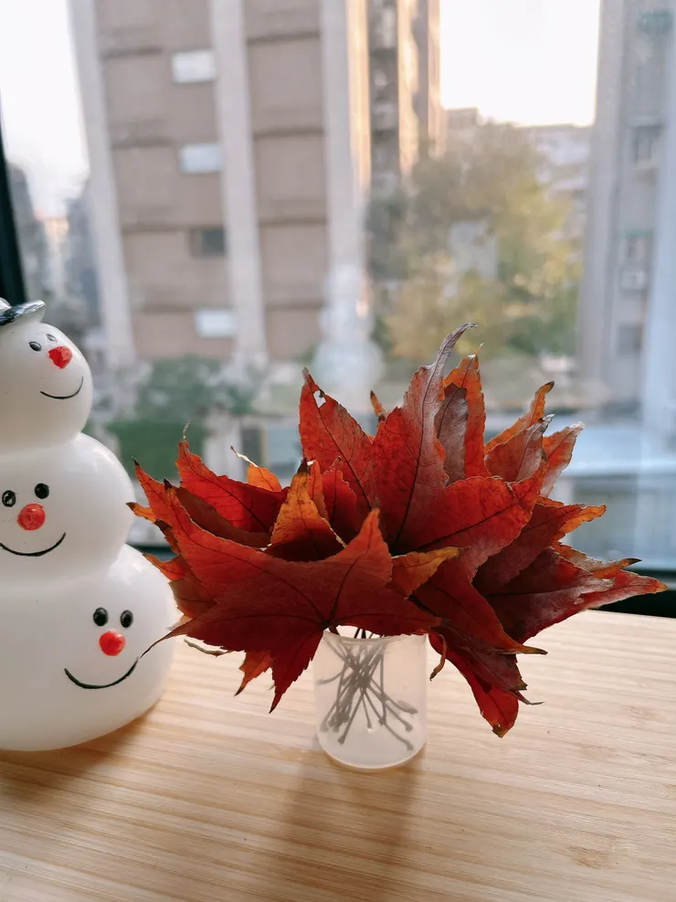 被我撿起放進大衣口袋的那一把，無人清掃的滿地秋色。