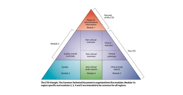 eCTD module overview