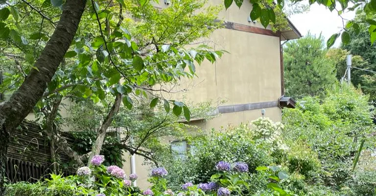 永續新富族Joanne 's blog