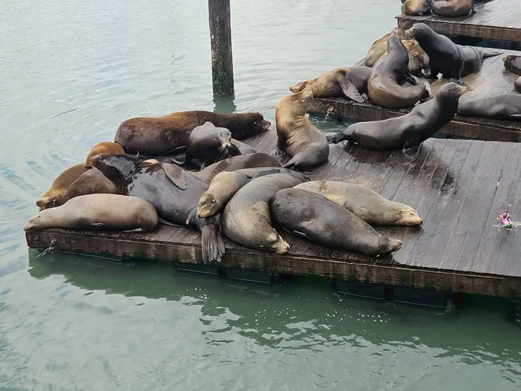 一方悠然享受日光浴，另一方還在對峙，一坨一坨還是好可愛