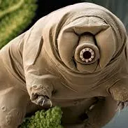 小劉的奇幻分享