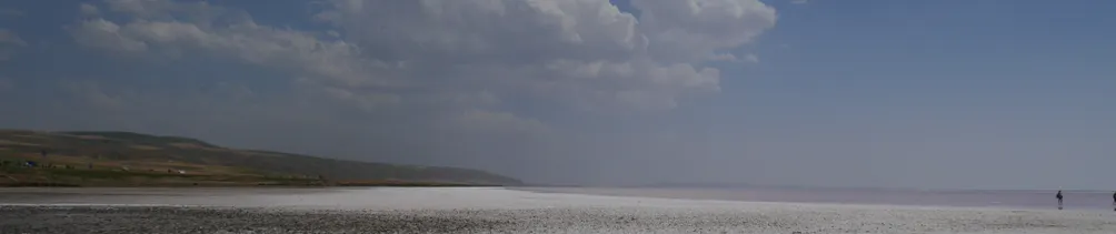 塔羅Lab.研究生 在幹嘛?