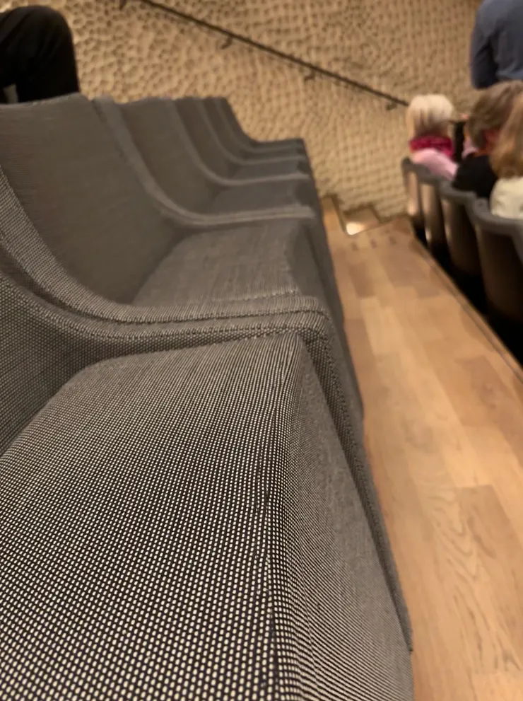 身為家具控，留意座椅是必要的，這個音樂廳的椅子很特別，很好奇是哪家公司做的