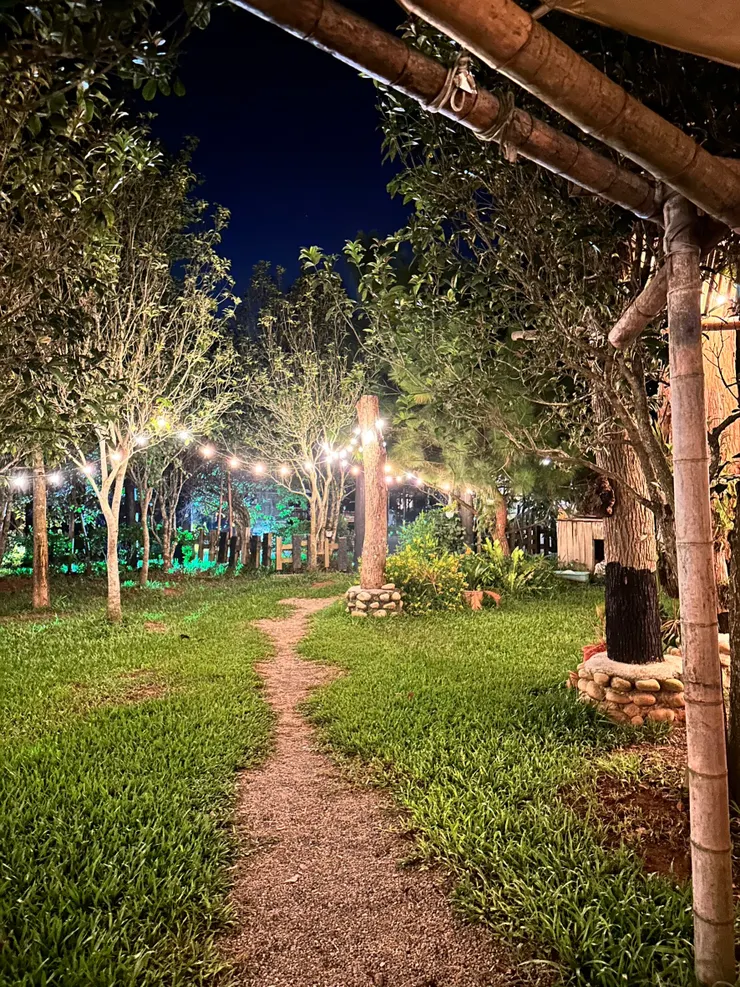 園區小路也都是燈飾