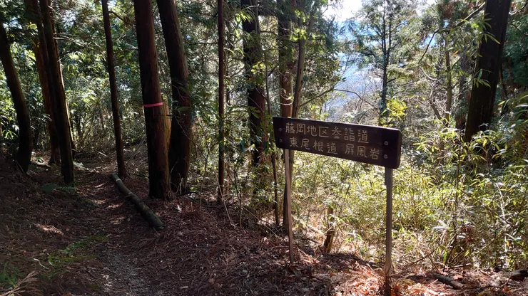 不知道需要多久，還是別隨便外加行程。