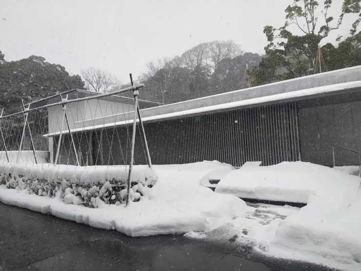 鈴木大拙館極為低調的外觀