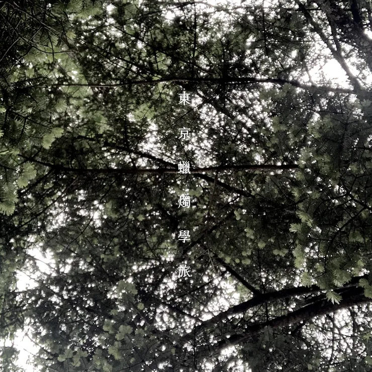 錯綜複雜,看似路很多,但明確的路只有一條