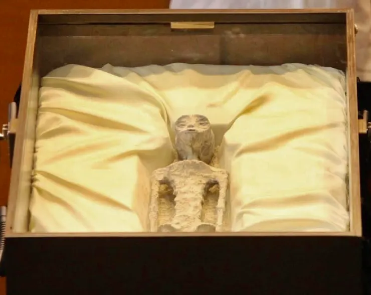 被帶到墨西哥國會展示的「外星人」遺體。(圖片來源/FB@Jaime Maussan)