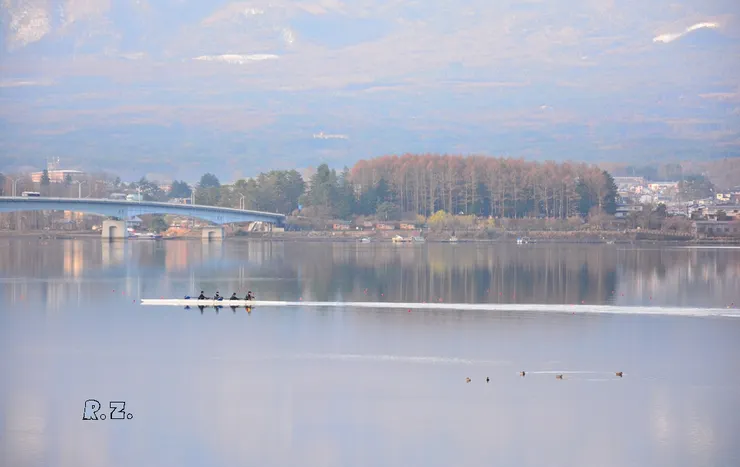 運動員在湖面操練划槳 ([陳傳義]拍攝)