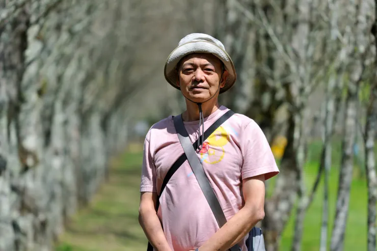 【身後世界枯寂幽邃白楊步道】