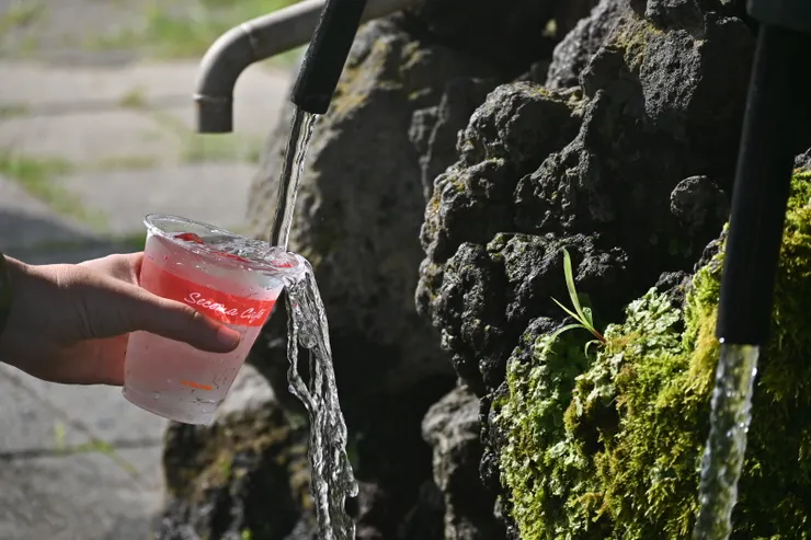 麗峰湧水/攝影:NANA濕婦
