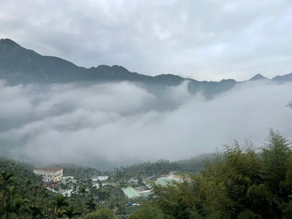 港·情·尋的沙龍