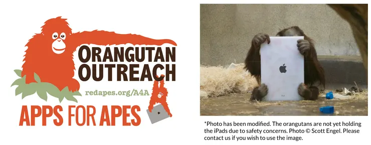 Orangutan Outreach開發的猿用apps