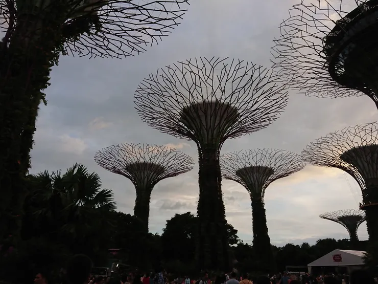 綠能環保的天空之樹