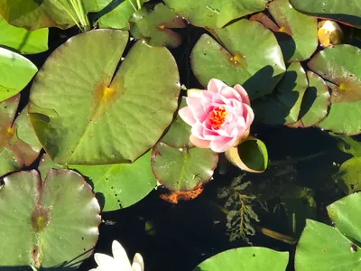 小孩放學、暑假開始！