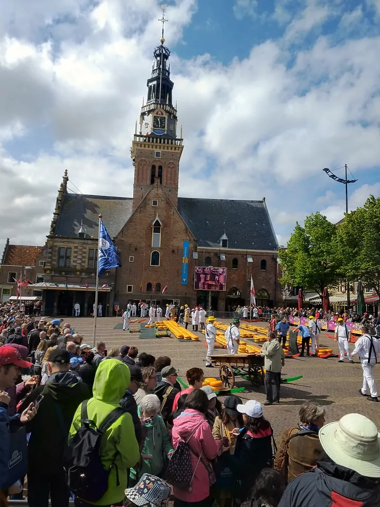 起司交易所前的拍賣流程很有意思