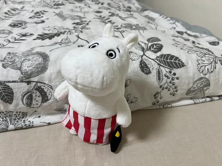 弟弟從芬蘭帶回來的嚕嚕米媽媽