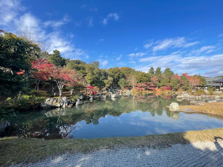 天龍寺適合早上一大早人少的時候來，旁邊有椅子坐，可以體悟寧靜祥和