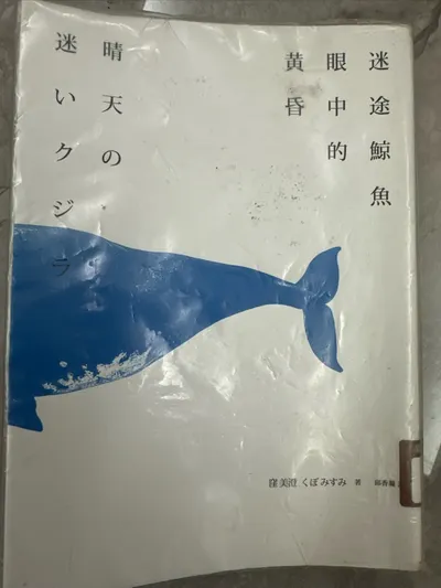 迷途鯨魚眼中的黃昏 窪美澄 讀後感
