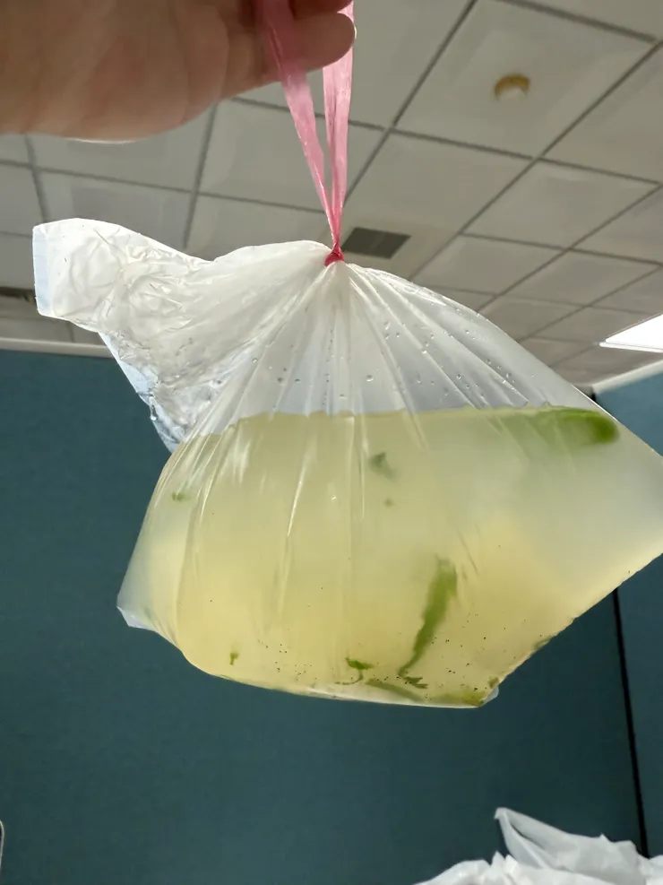 2026/03/09 愛心熱湯