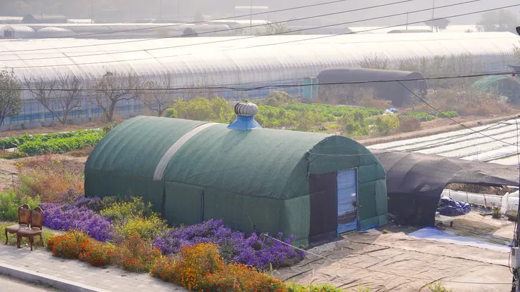 跟台灣好像的農田景緻