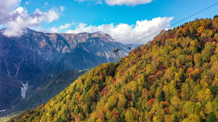 新穗高纜車四季都有不同的樣貌。（圖／新穗高纜車 Facebook）