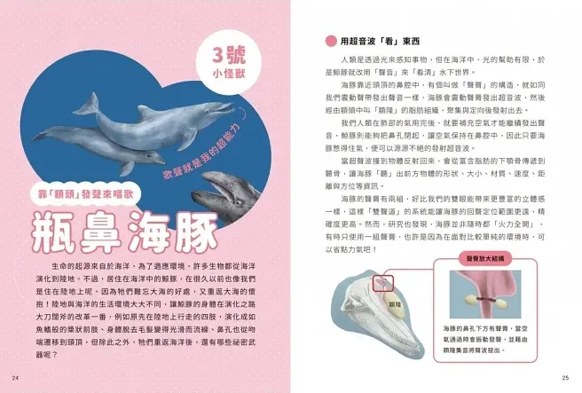 《小怪獸備忘錄》