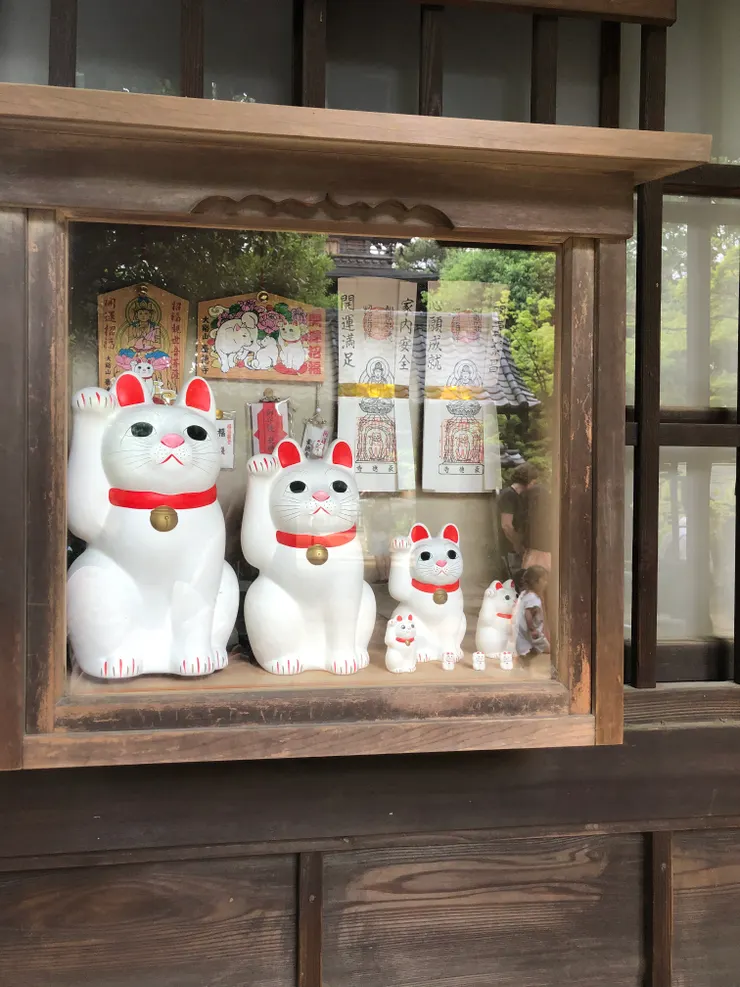 也有賣招財貓可以帶回家