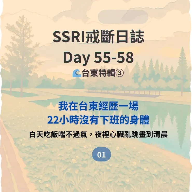 在台東戒藥的那段時間，我常常一天只睡兩小時，像醒著上22小時的班。白天吃飯吃到一半要出去透氣才能繼續，晚上不能用3C，只能坐在小黃燈下畫畫，一邊嚴重心悸，一邊在夜晚陪伴自己走下去。