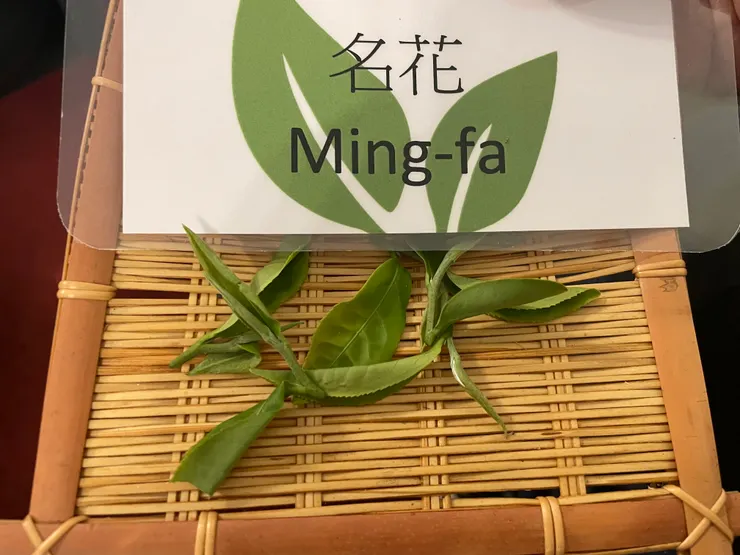 名花（相片由作拍攝）