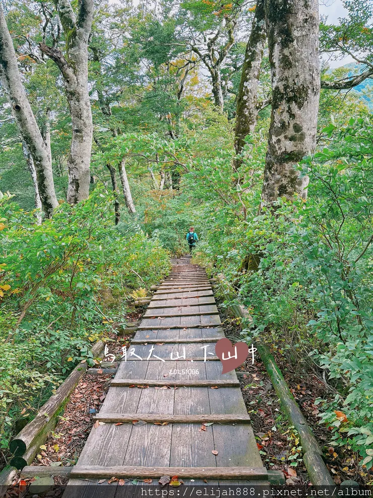 【2025初秋.鳥取県大山町登山趣】夏日登山口/海拔1709