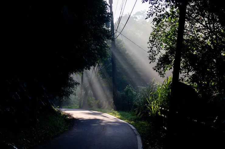 一邊看著光的方向,一邊尋找適合拍照的地方。(ISO250, 56mm, F6.3, 1/125s)