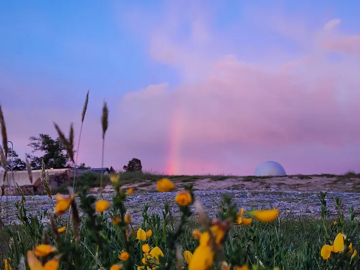 夜晚飄雨的關係，太陽出來時還看到彩虹