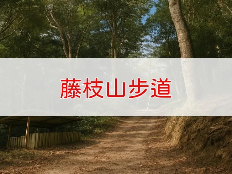 【高雄】小百岳-藤枝山步道 | 全長:0.6公里 | 難度:低