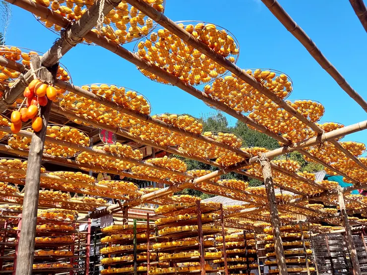 味衛佳柿餅教育農園