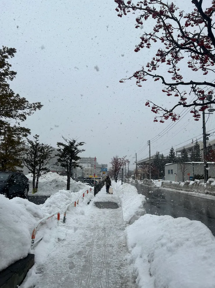 沿途飄著雪花好浪漫