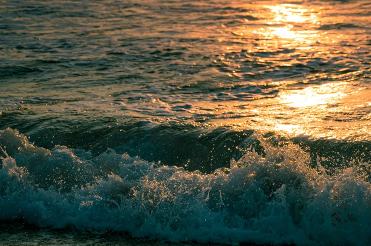 Photo by Yoanna Yordanova on Unsplash