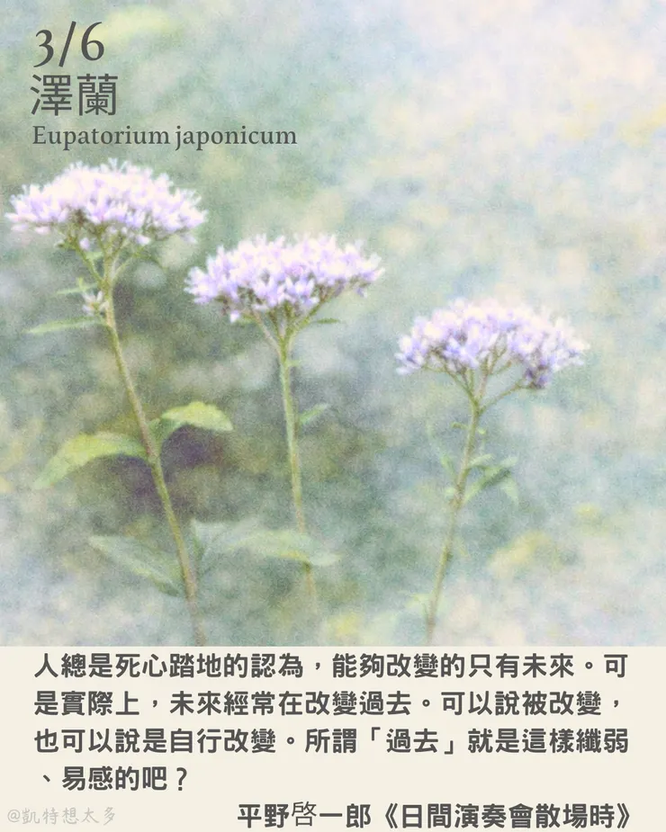 3 月 6 日｜澤蘭×平野啓一郎《日間演奏會散場時》